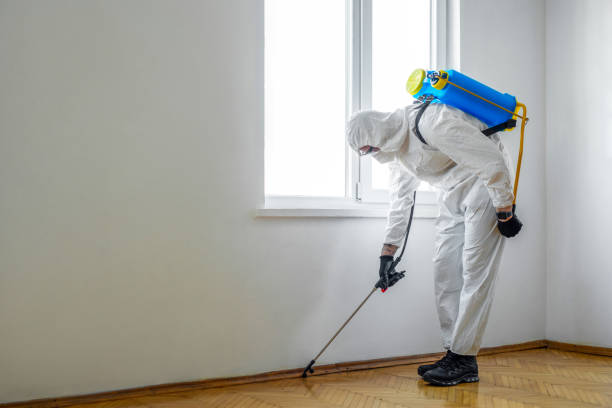 Best Commercial Pest Control  in Andale, KS